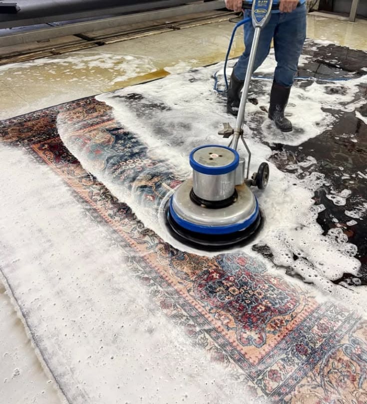 Carpet Cleaning